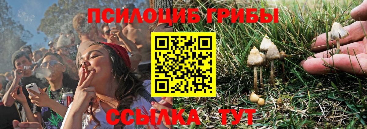 Заволжье  Псилоцибиновые грибы GOLDEN TEACHER  Вход с VPN 