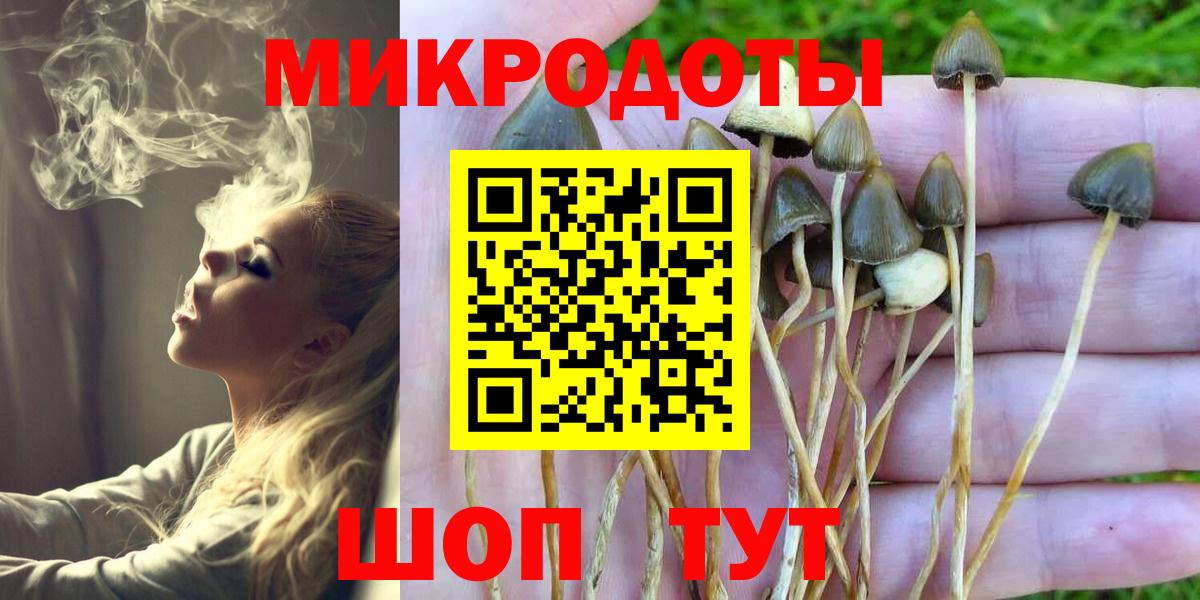 Галлюциногенные грибы мицелий Заволжье